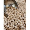 CHICKPEA