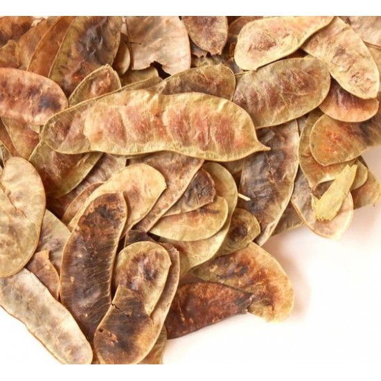 ΣΕΝΝΑ (ΦΥΛΛΑ ΑΙΓΥΠΤΟΥ- ΦΥΛΛΑ ΑΛΕΞΑΝΔΡΕΙΑΣ)