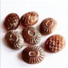 CANDIES WITHOUT COFFEE