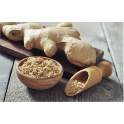 ΠΙΠΕΡΟΡΙΖΑ (GINGER) ΤΡΙΜΜΕΝΟ